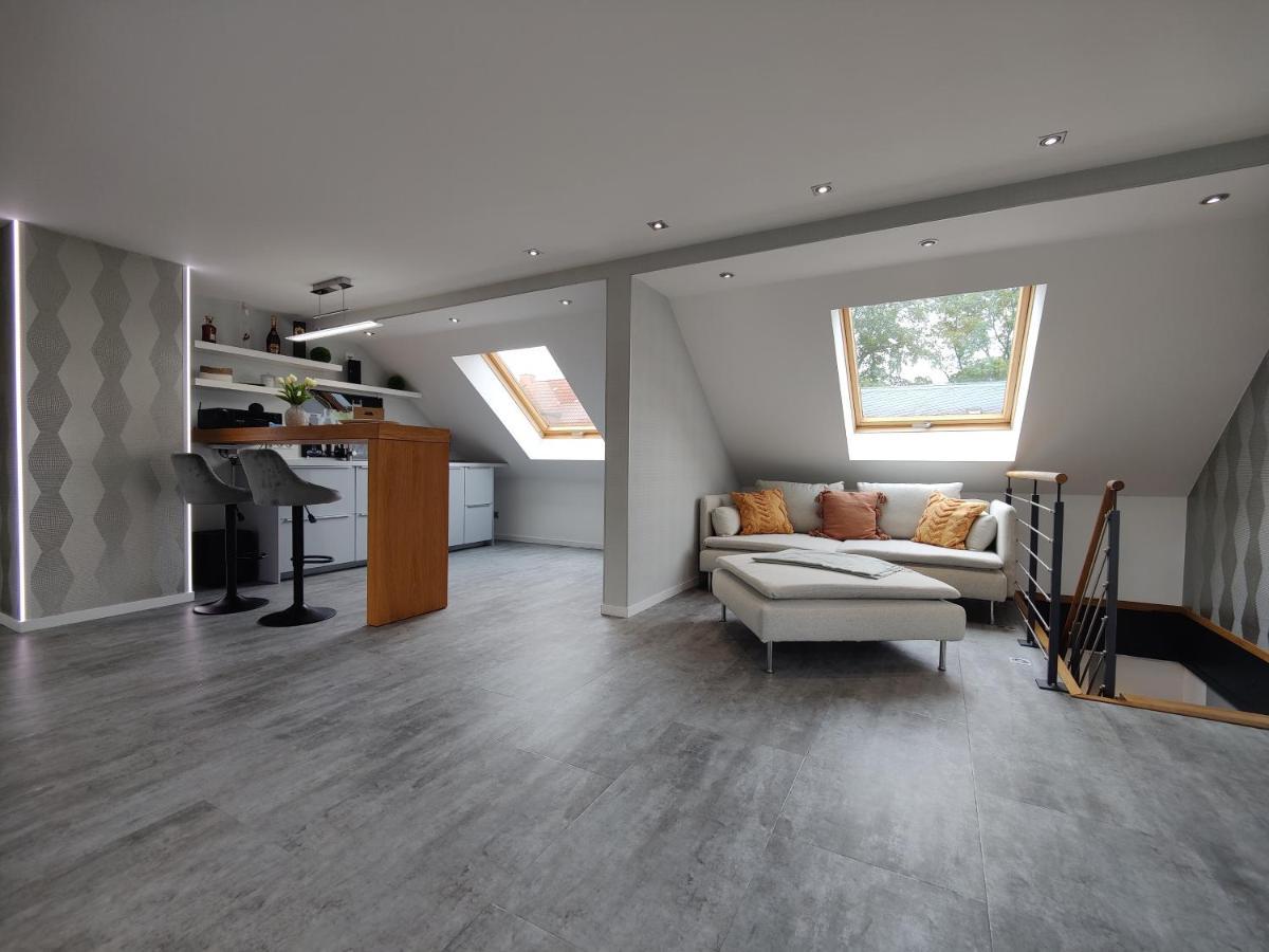 Ferienhaus Villa Adelsberg Mit Dachterrasse In Zentraler Lage Fuer Bis Zu 10 Personen Chemnitz Kültér fotó