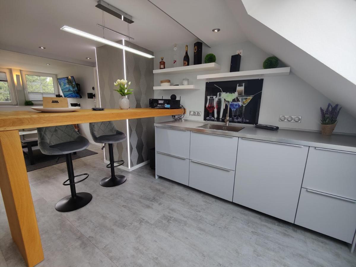 Ferienhaus Villa Adelsberg Mit Dachterrasse In Zentraler Lage Fuer Bis Zu 10 Personen Chemnitz Kültér fotó