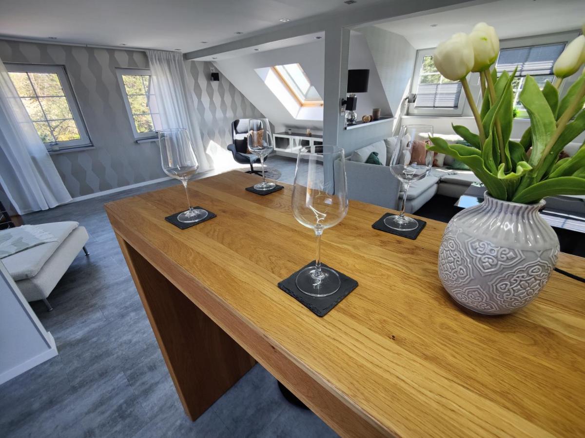 Ferienhaus Villa Adelsberg Mit Dachterrasse In Zentraler Lage Fuer Bis Zu 10 Personen Chemnitz Kültér fotó